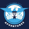 The commercial investment arm of the United States Air Force.