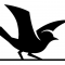 Lavrock Ventures logo