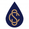 Serendipity Capital logo