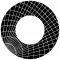 Shield Capital logo