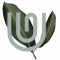 Union Grove Venture Partners logo