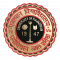 University of Rajasthan logo