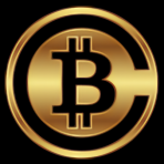 Bitcoin Capital logo