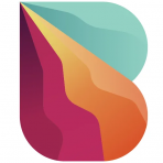 Bitquery Corp logo