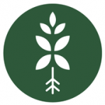 Bloomboxclub Ltd logo