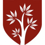Chestnut Street Ventures logo