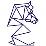 Digital Strategies logo