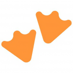 MotherDuck Corp logo