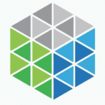 Next Play Capital LLC logo