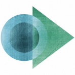 Paua Pilot logo