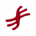 Sigvion Capital logo